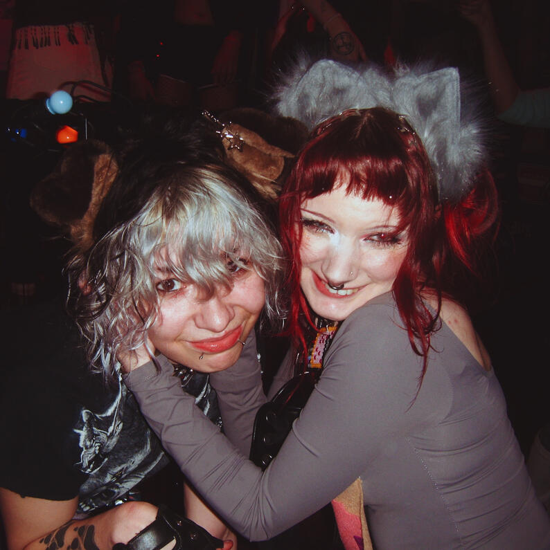 Bliss Puppygirls Vs Catgirls - 2/26/26
